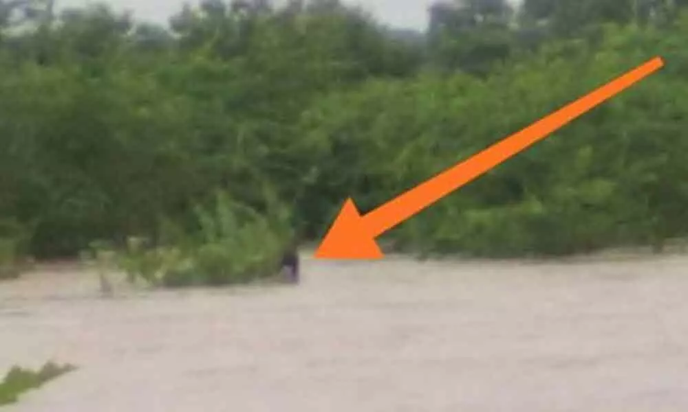 Lorry swept away in Tummedavagu in Siddipet