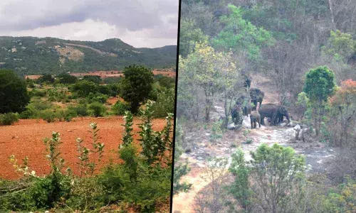 Fate of farmers in Banerghatta is in a limbo