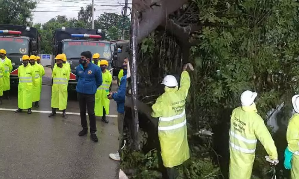 DRF in action, clears stagnation, tree falls in Hyderabad