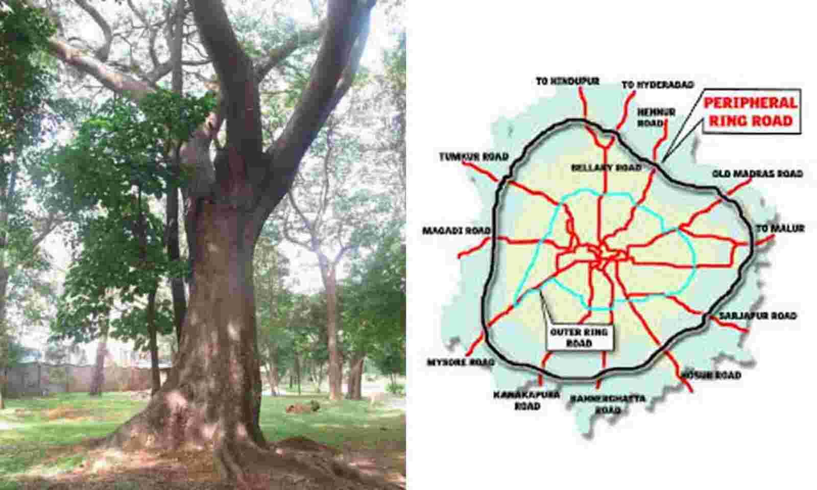 Reimagining the peripheral ring road of Bengaluru as an area development  Project | Semantic Scholar