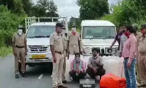 2 Men Arrested With Over 391 kg Cannabis Worth ₹ 30 Lakhs: Odisha Cops