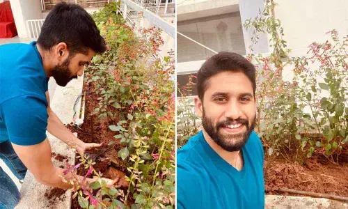 Naga Chaitanya accepts Green India Challenge