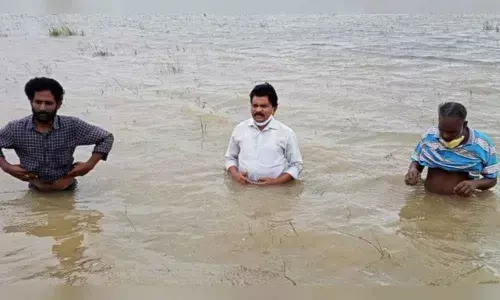 Aava lands under floodwater in Rajamahendravaram