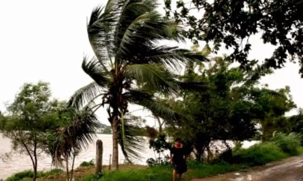 Genevieve strengthens into Category 1 hurricane off Mexico coast
