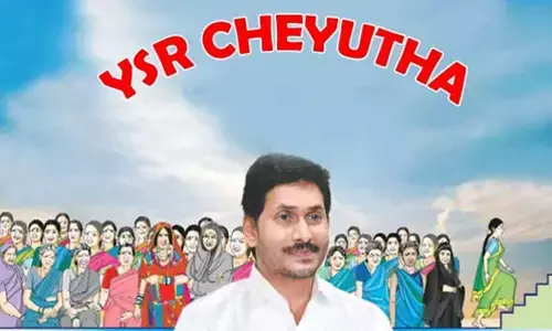 12.81 Lakh women select livelihood choices