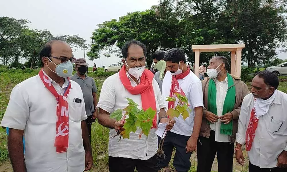 CPM State Secretary T Veerabhadram and others showing damaged crops to the media in Khammam district on Wednesday