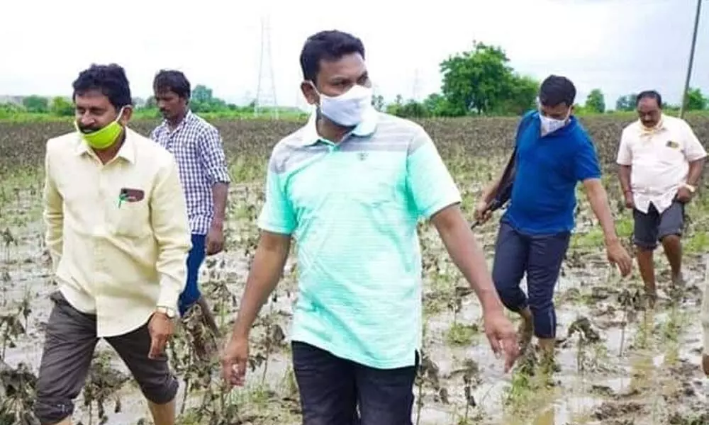 Government Whip Rega Kanatha Rao inspecting damaged crops in Manuguru mandal on Wednesday