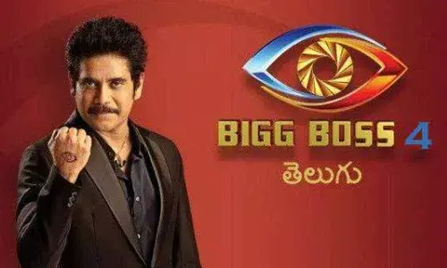 Bigg Boss 4 Telugu contestants list