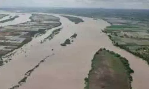 Representational Pic