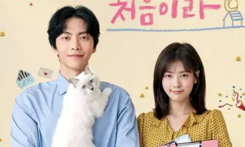 Korean Drama Because This Is My First Life