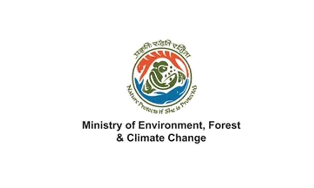 ministry of environment and forest