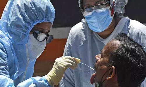 Covid test on zoo visitors likely