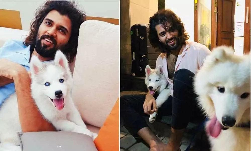 Tollywood Actor Vijay Devarakonda Is Seen Chilling With His Cute Pets