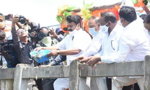 Animal Husbandry Minister Talasani Srinivas Yadav releasing fish seedlings at Mylaram tank in Warangal Rural district on Monday