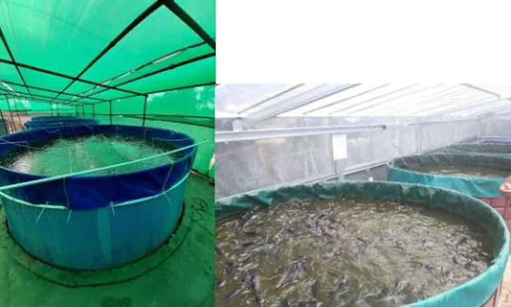 Odisha introduces Biofloc fish farming technology