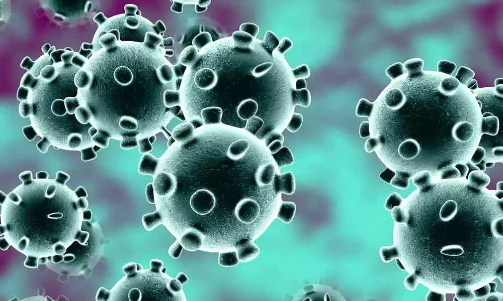Coronavirus update: AP registers 8601 new cases, tally reaches 3,61,712