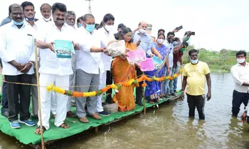 Minister Talasani Srinivas along with MLA P.Shekar Reddy releasing fishlings