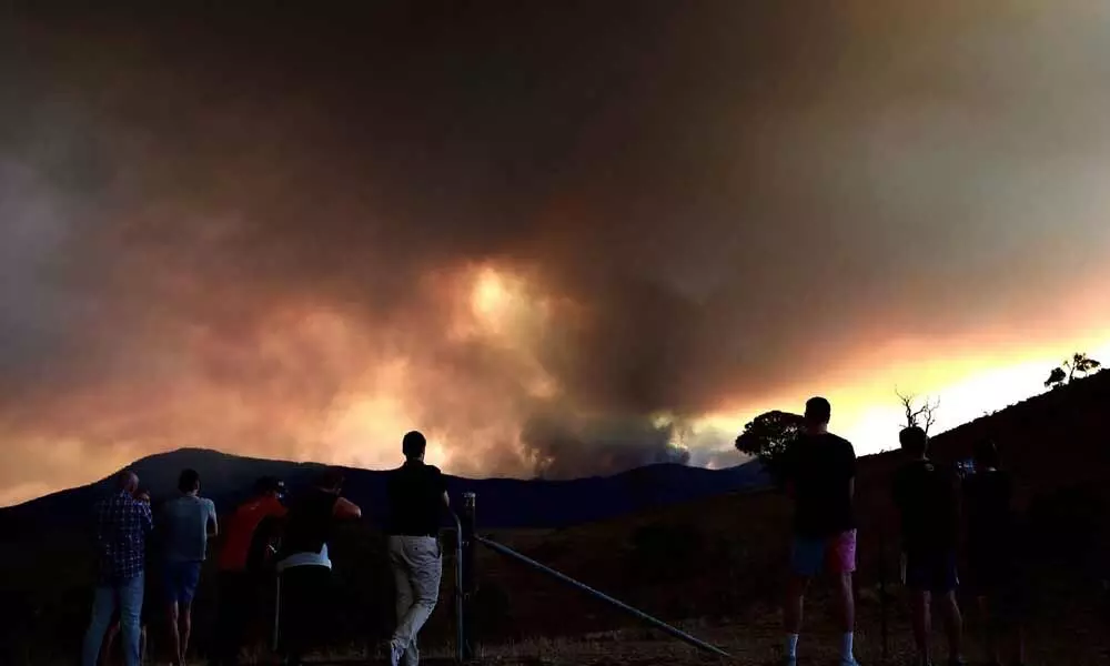 Australia should expect worse bushfires in future