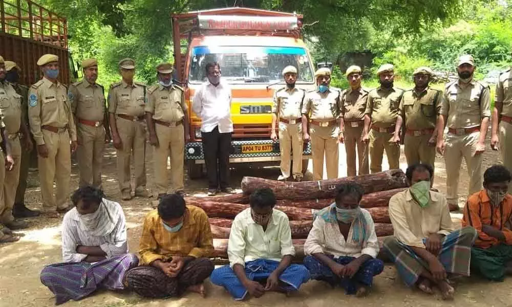 Forest officials with 771 kg red sanders logs, lorry and the accused at Forest Range Office on Tuesday