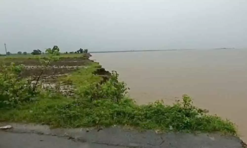 The cropland inundated by the surging Godavari floodwaters near Podumuru village under Mangapet mandal in Mulugu district