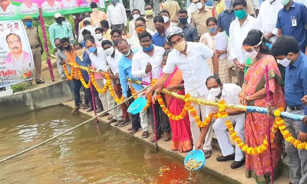 Welfare Minister Koppula Eshwar releasing fish seedlings in Lingam Cheruvu in Jagtial on Tuesday