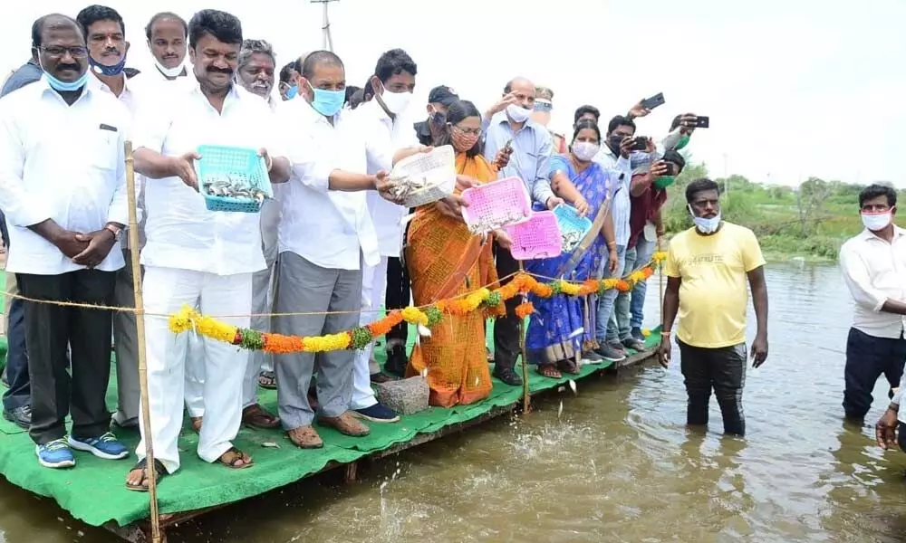 Minister Talasani Srinivas along with MLA P.Shekar Reddy releasing fishlings