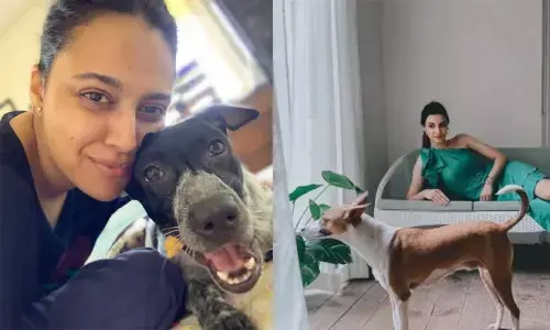 Swara Bhaskar and Diana Penty