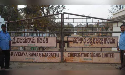Bheemasingi sugar factory shut down for facelift