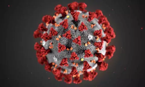 Tamil Nadu breaches 4-lakh mark, Coronavirus cases keep climbing