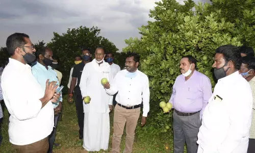 District Collector Gandham Chandrudu