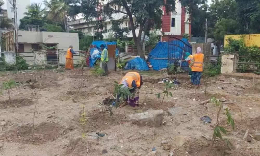 Tree parks in Kukatpally to create forest ambience