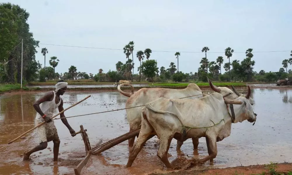 Farmland registrations in a day