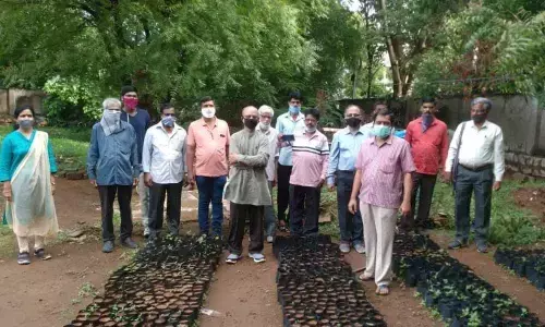 Hyderabad: Seed balls Throwing Programme needs greater public thrust