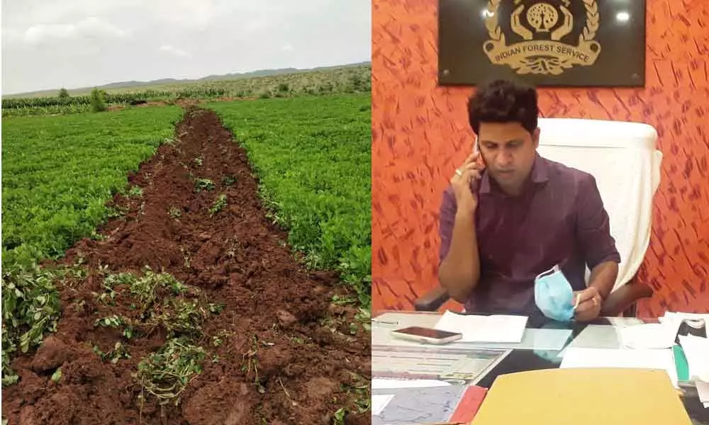 Encroached fertile forest land in Anantapur(left); DFO Jaganath Singh(right)