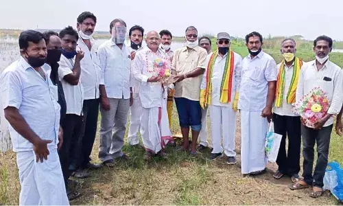 High Court advocate DNS Prasad Babu