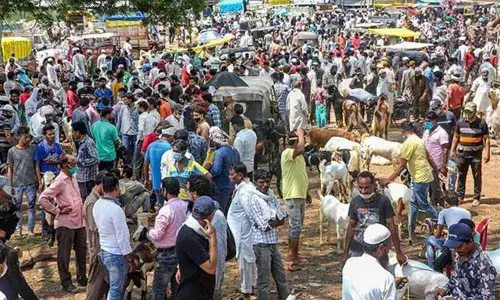 65 to 70pc of population should have immunity to check virus spread: WHO