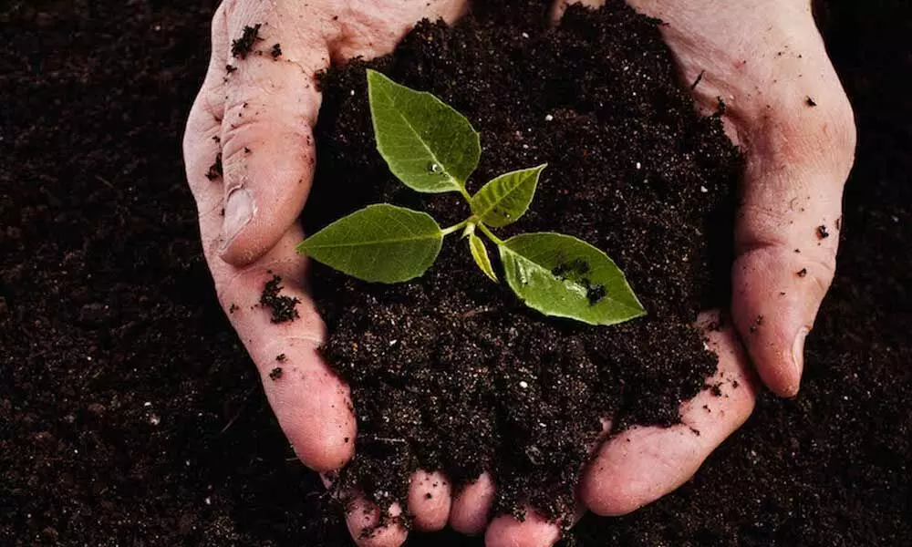 Urban women set to get lessons on composting