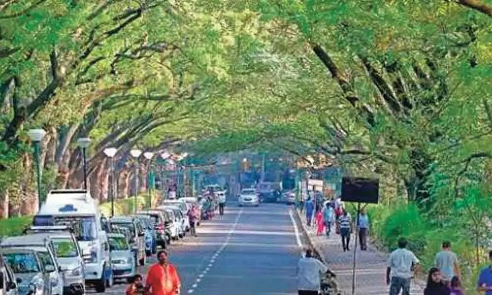 Walkers body demands vehicle ban in Cubbon Park