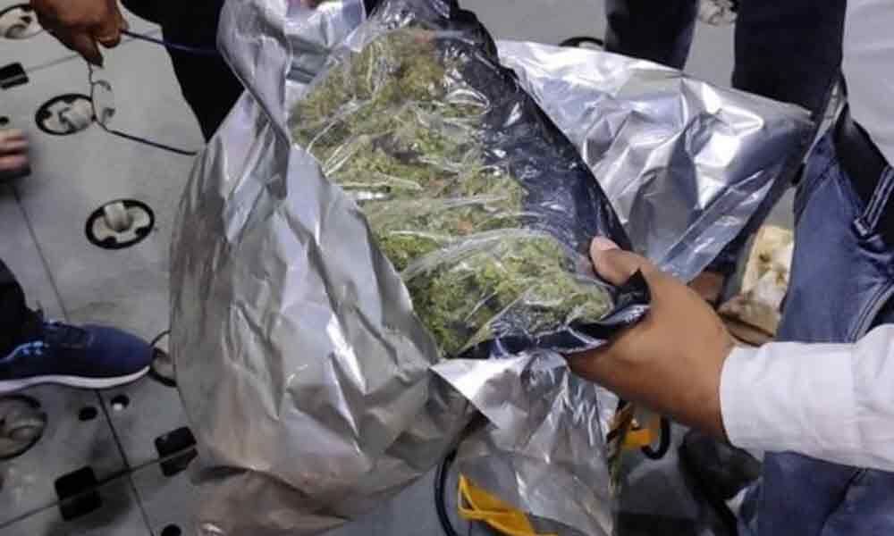 One held, 500 gms ganja seized at Delhi airport