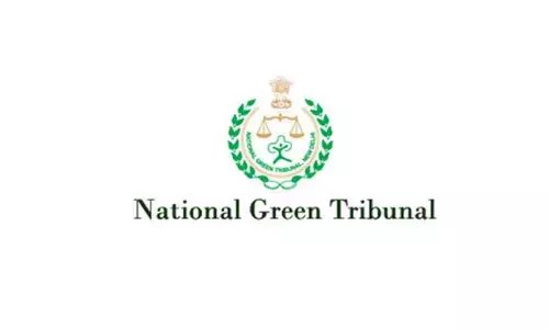NGT appoints joint panel to check damage to mangroves