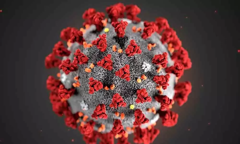 Coronavirus