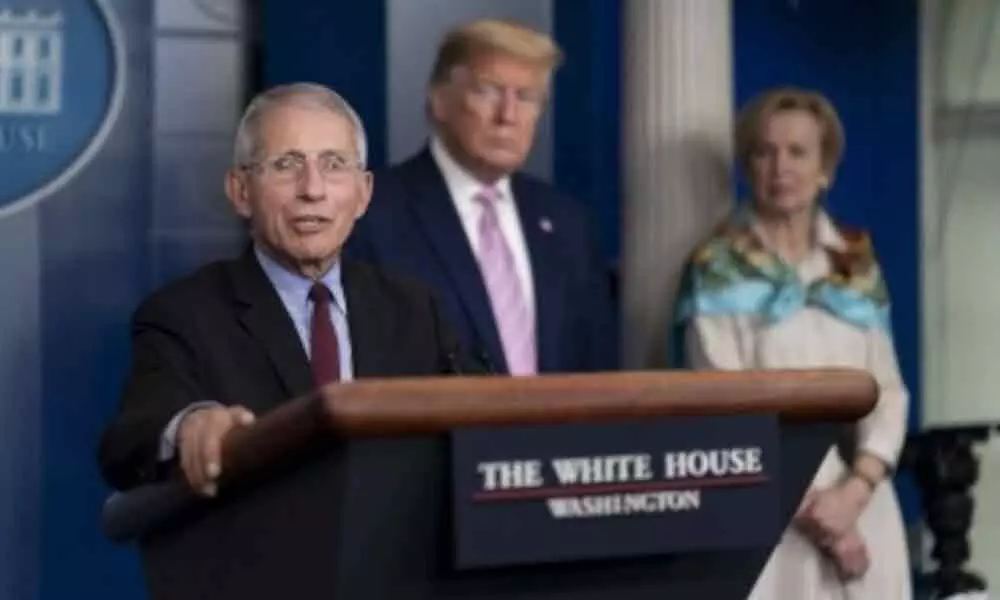 US President Donald Trump has questioned the value of Anthony Fauci to the White House coronavirus task force
