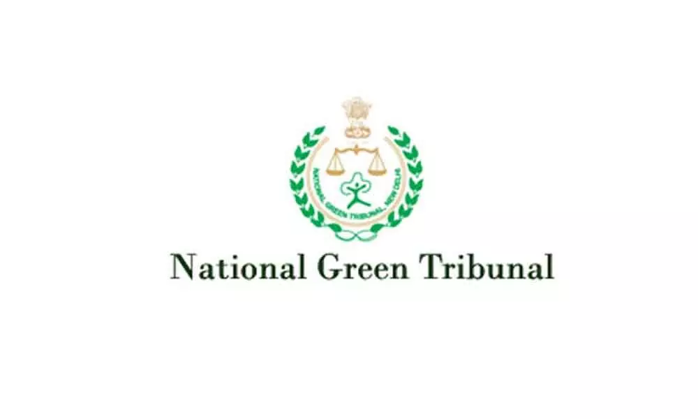 NGT appoints joint panel to check damage to mangroves