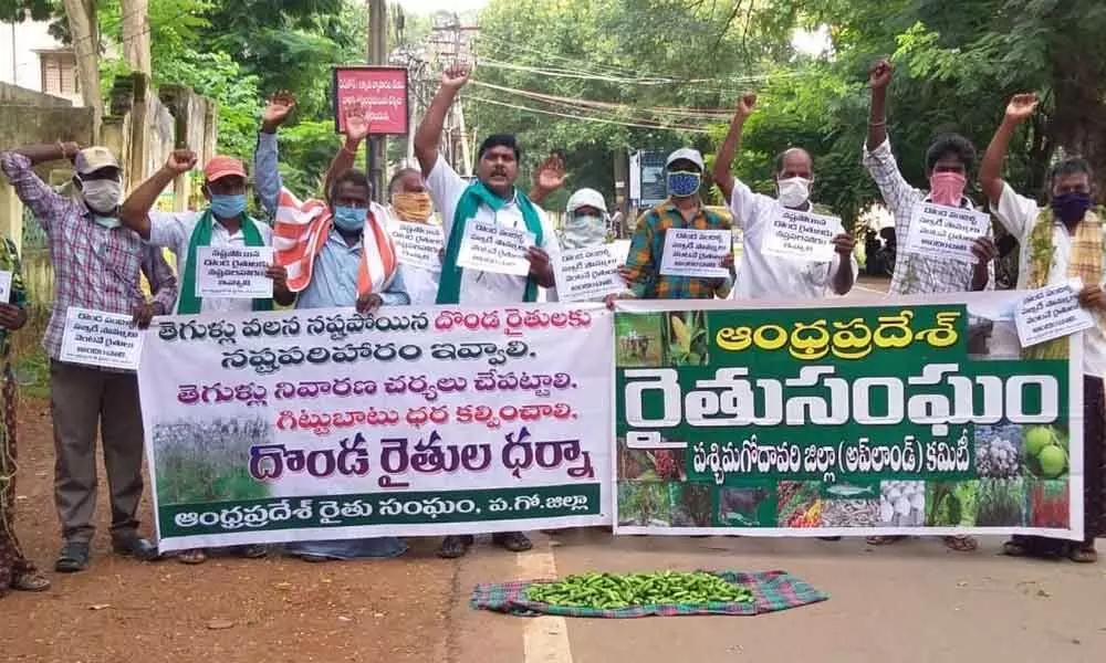 Ivy gourd farmers staging a dharna at the Collectorate in Eluru on Tuesday