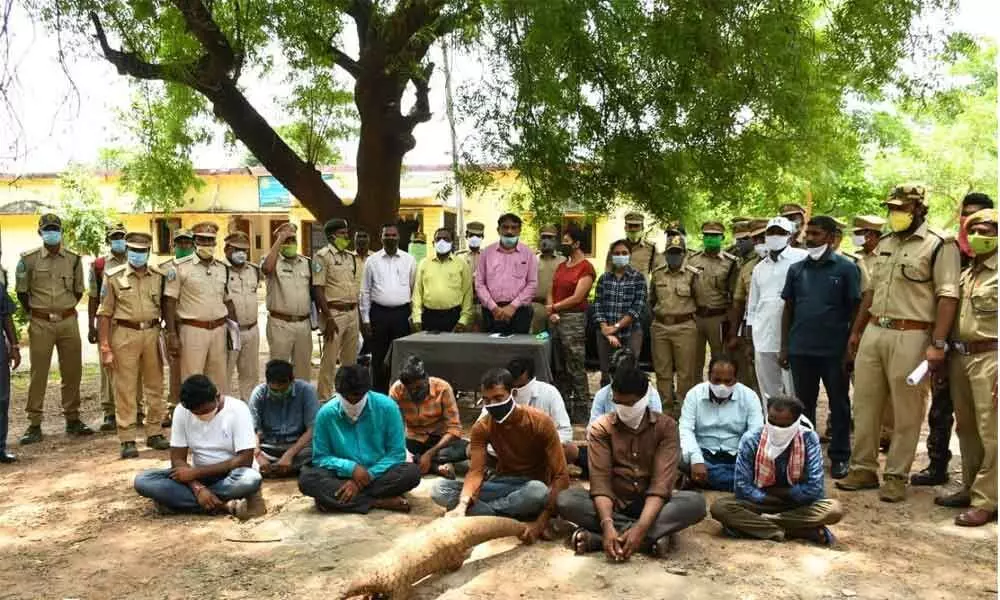 Forest, wildlife officials at Kawal Tiger Reserve bust smuggling racket, 10 held