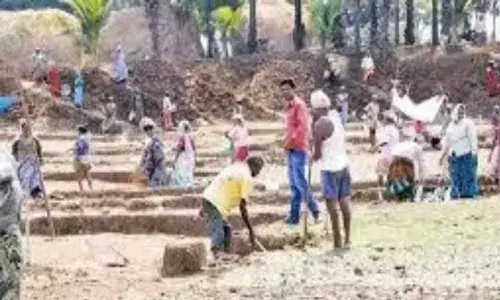 AP govt. moves High Court over the irregularities in Neeru-Chettu program