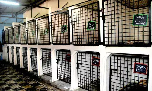 Peerzadiguda to get new animal care unit