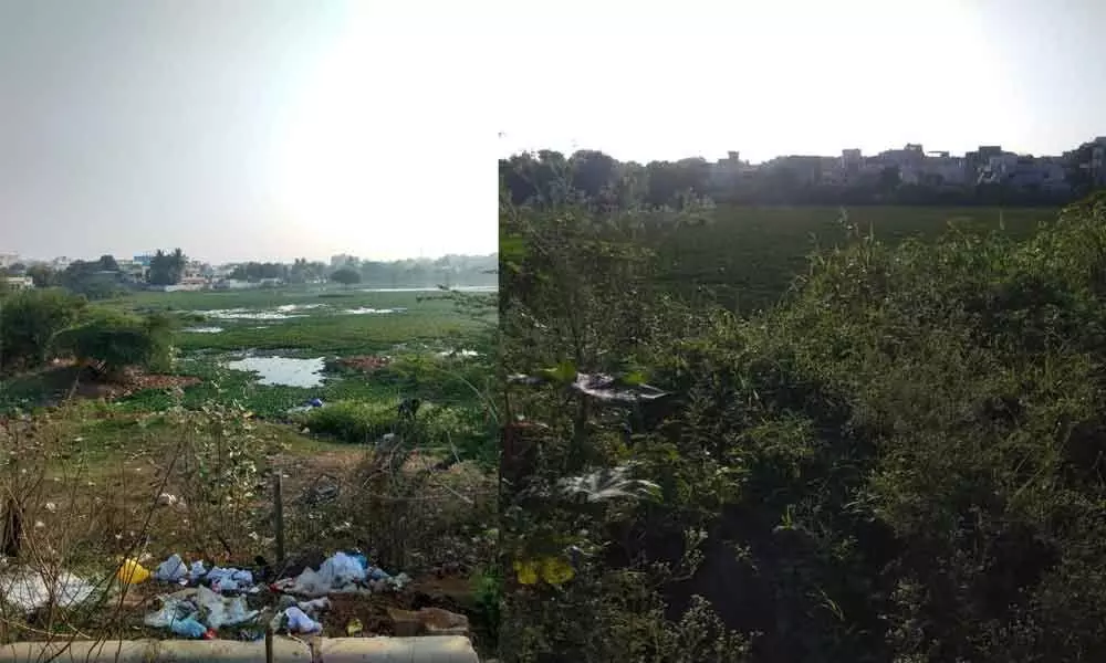Chinnarayuni Cheruvu-8 acres (Old Alwal) (left); Kotha Cheruvu- 20 acres (Temple Alwal) (Right)