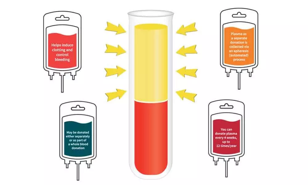 90k patients recover from coronavirus, but no plasma donors in Bengaluru