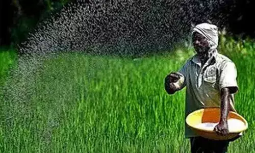 DFPCL inks partnership deal with Samunnati